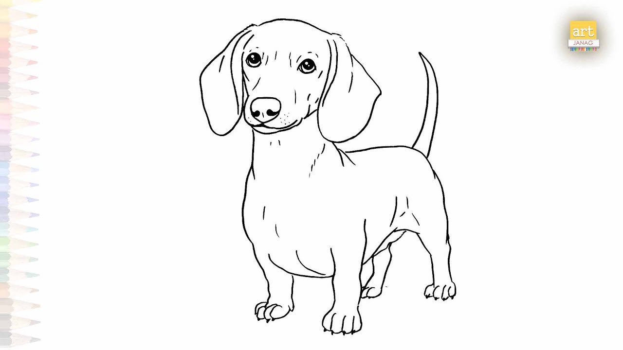 Dachshund dog drawings easy | Pet animal sketches | How to draw A Dachshund dog step by step simply