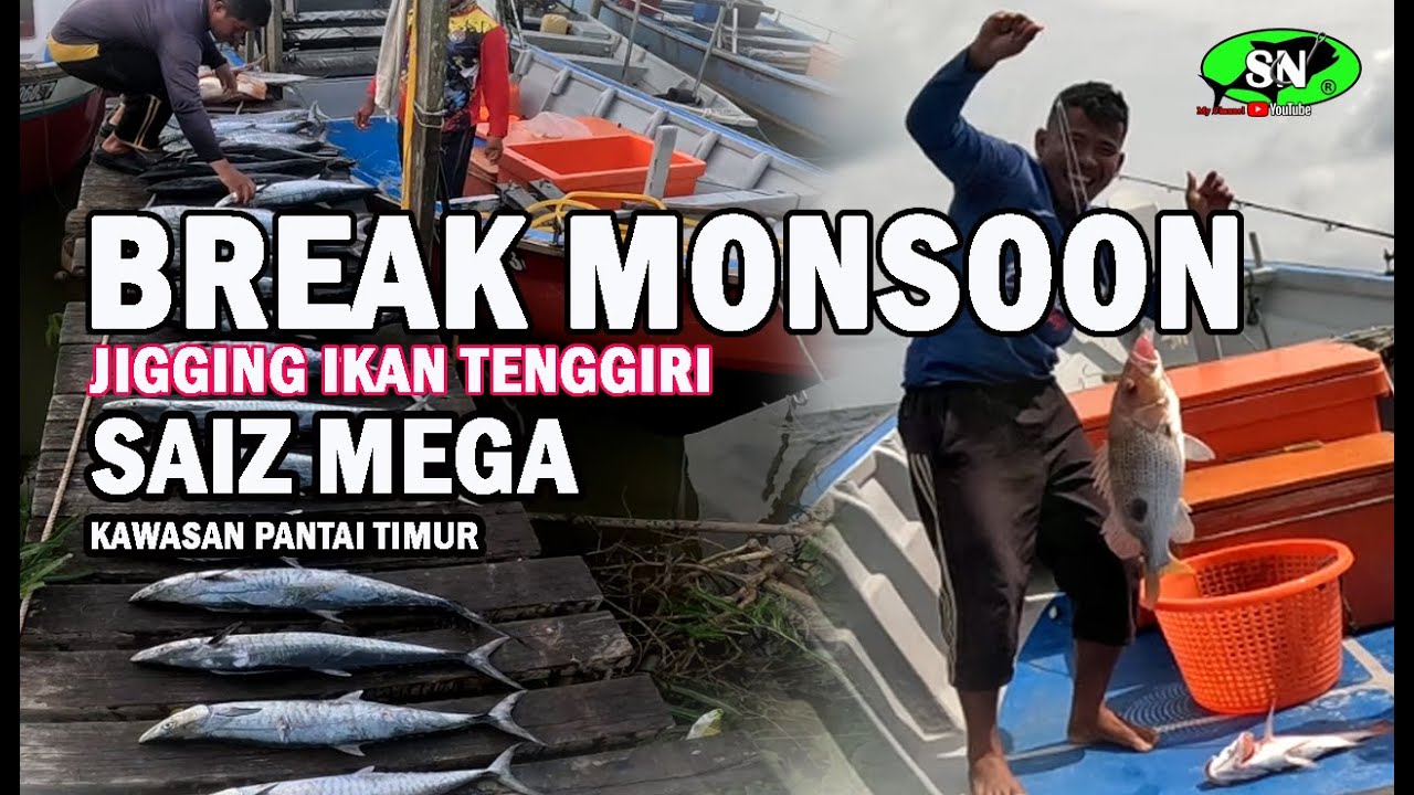 Break Monsoon 2026  - Amat dinantikan oleh para pemancing Ikan Tenggiri, di kawasan pantai timur