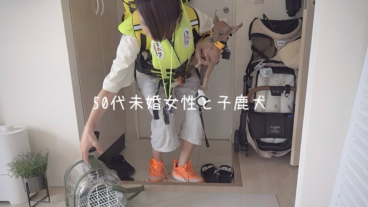 50代、未婚、子なし。犬と鳥を連れて避難訓練をする一人暮らしのリアルな休日【ミニピン】