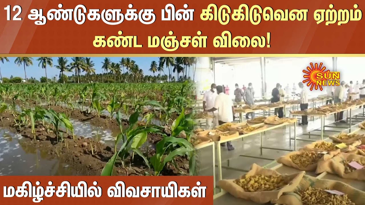 கிடுகிடு வென ஏற்றம் கண்ட மஞ்சள் விலை! மகிழ்ச்சியில் விவசாயிகள் | Erode | Turmeric | Sun News