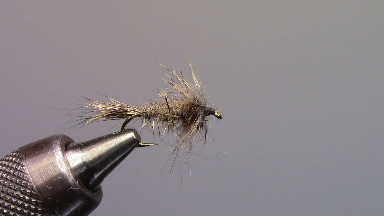 Guild 5, Pine Squirrel nymph & Poly wing midge