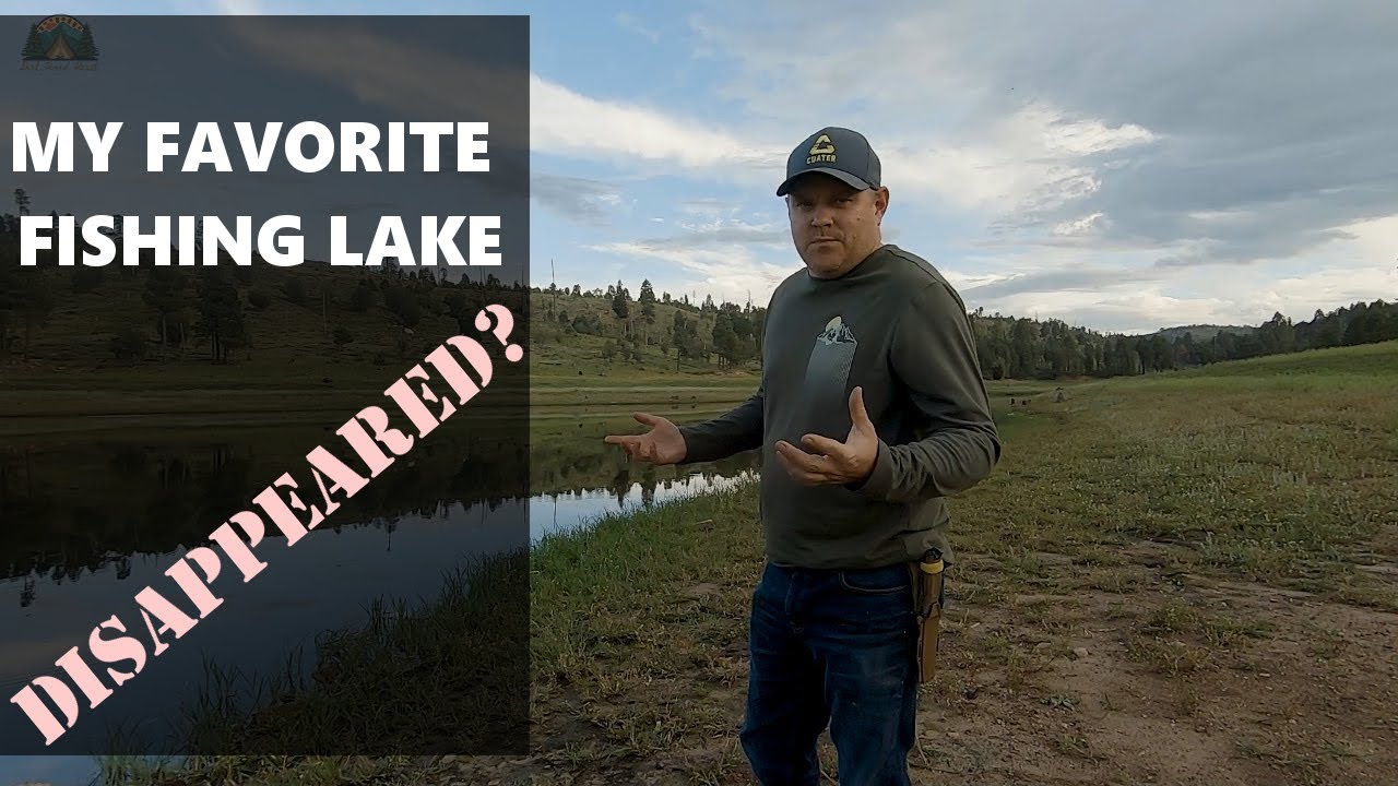 Solo overnight camping trip. What could go wrong?