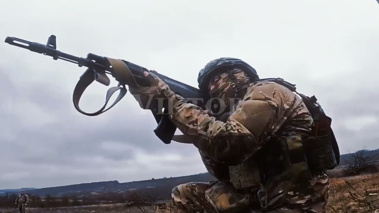 𝐒𝐖𝐄𝐄𝐓 𝐋𝐈𝐓𝐓𝐋𝐄 𝐁𝐔𝐌𝐁𝐋𝐄𝐁𝐄𝐄 | 𝐑𝐔𝐒𝐒𝐈𝐀𝐍 𝐒𝐇𝐌𝐄𝐋 𝐄𝐃𝐈𝐓