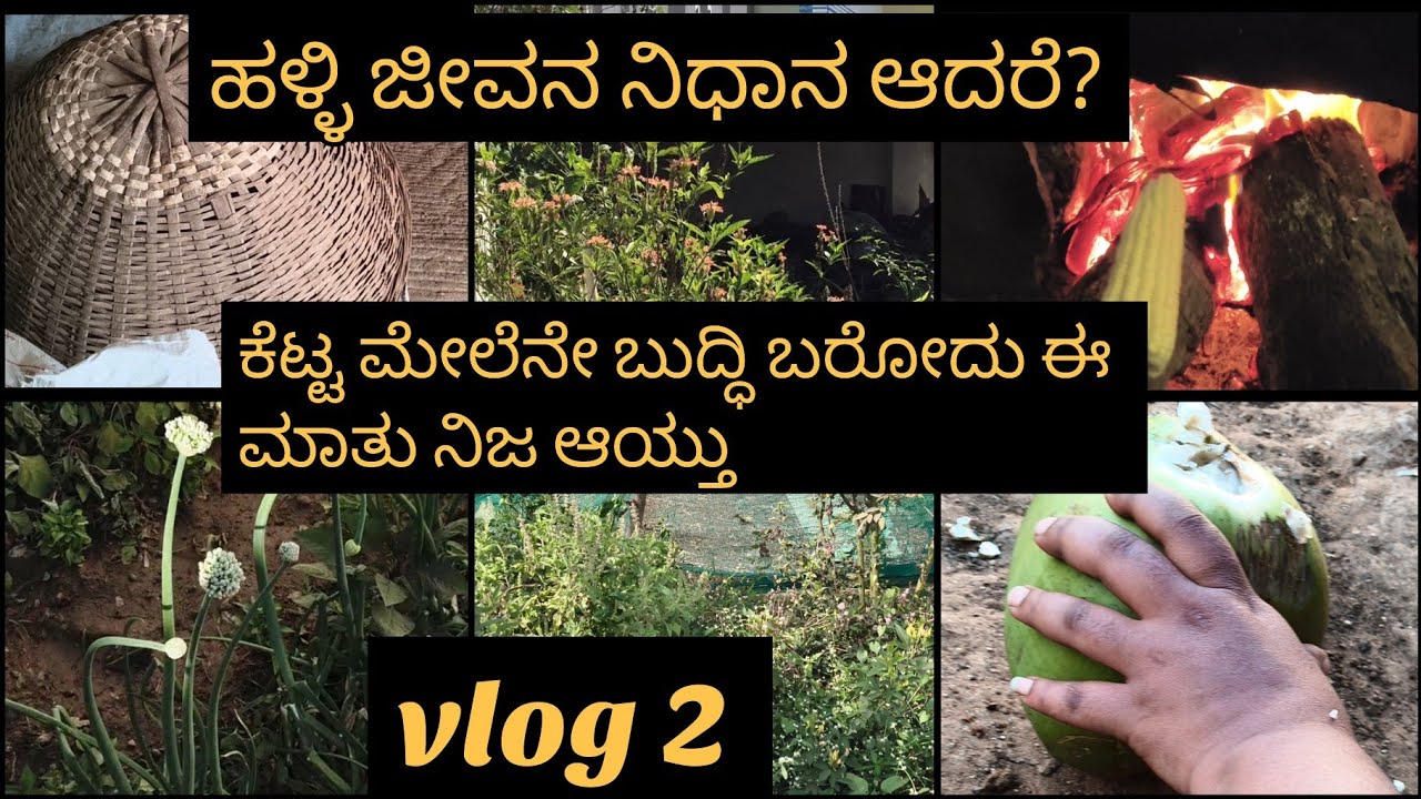  Vlog 2..ಕೆಟ್ಟ ಮೇಲೆ ಬುದ್ಧಿ ಬಂತು ನನಗೆ.. ಹಳ್ಳಿ ಜೀವನ ನಿಧಾನ ಆದ್ರೆ ನೆಮ್ಮದಿಯ ಜೀವನ.. ಜಮೀನ್ ಮಾರಿ ಹೆತ್ತವರಿಗೆ 