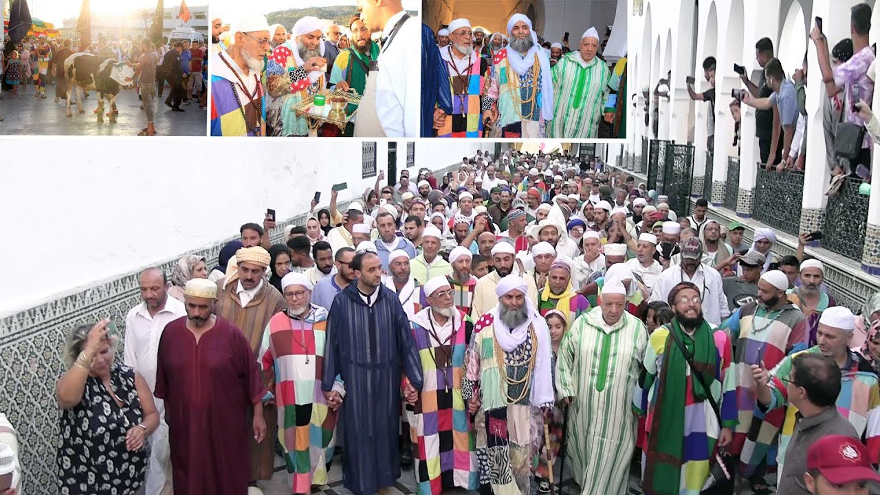 موسم مولاي ادريس زرهون الطريقة الكركرية تشارك وتقدم عجل كهدية وتحيي الليلة الكبيرة بالقبة الحسنية
