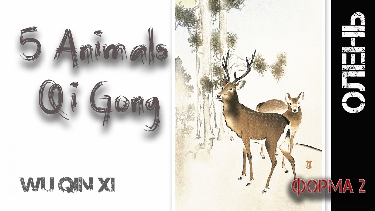 Qigonq WU QIN XI DEER form Цигун 5 зверей игра ОЛЕНЯ - У ЦИНЬ СИ