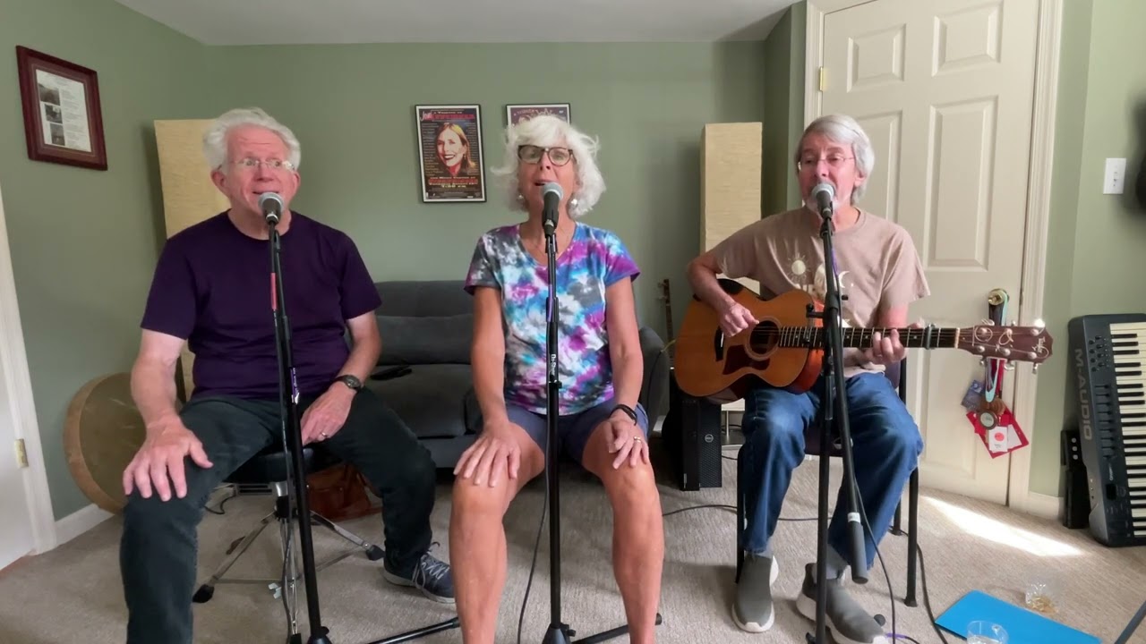 Wandering - James Taylor Cover by Folkadelic