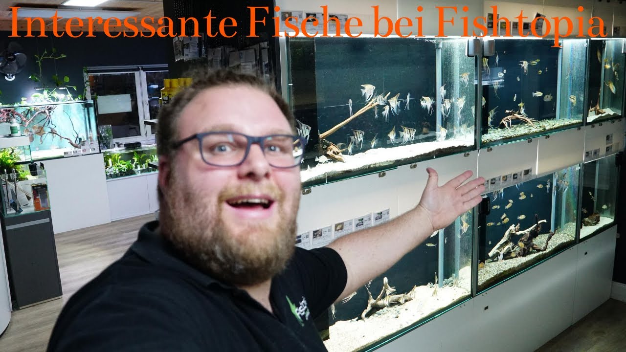 Interessante Fische bei Fishtopia