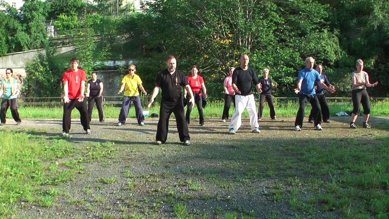Taiji - White Crane - Body Mind Coordination  Nikolaus Deistler and group