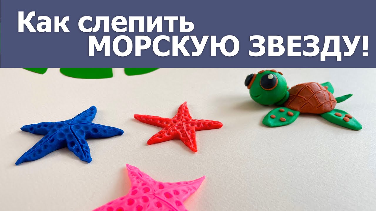 Как слепить морскую звезду!