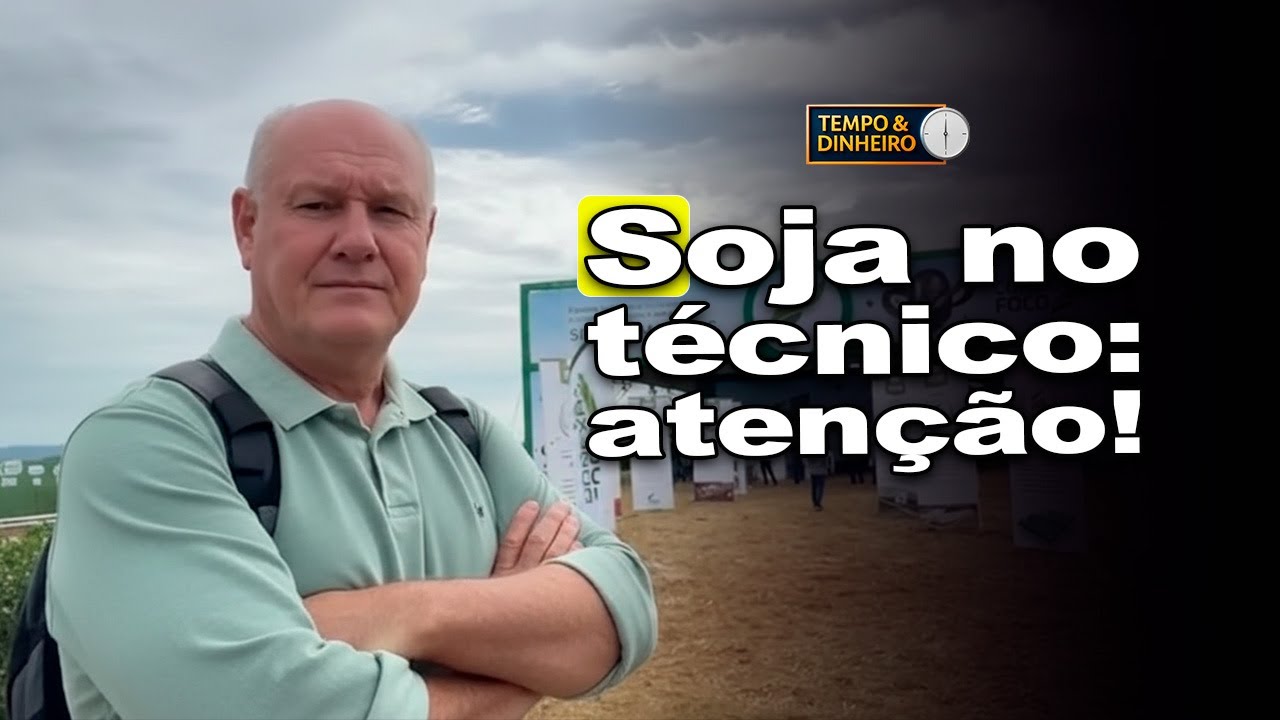 Soja em dia técnico: mercado ajusta posições e testa níveis-chave