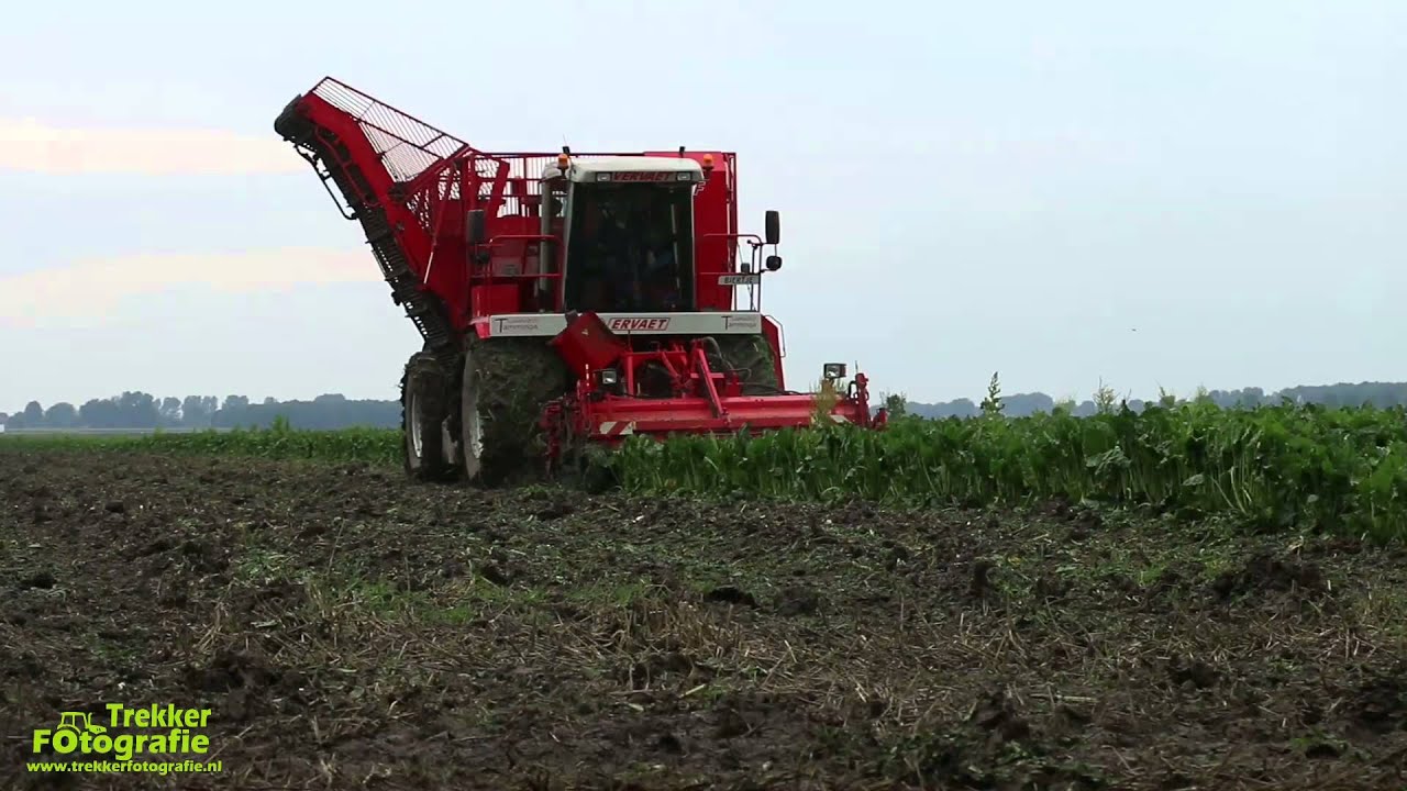 Eerste bieten van 2015 gerooid door loonbedrijf Tamminga
