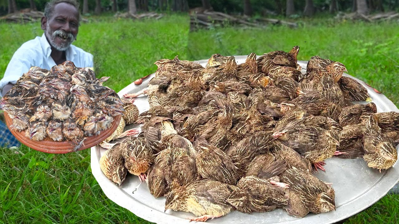 WILD QUAIL PEPPER FRY | Traditional Village Food | Grandpa One Man Show