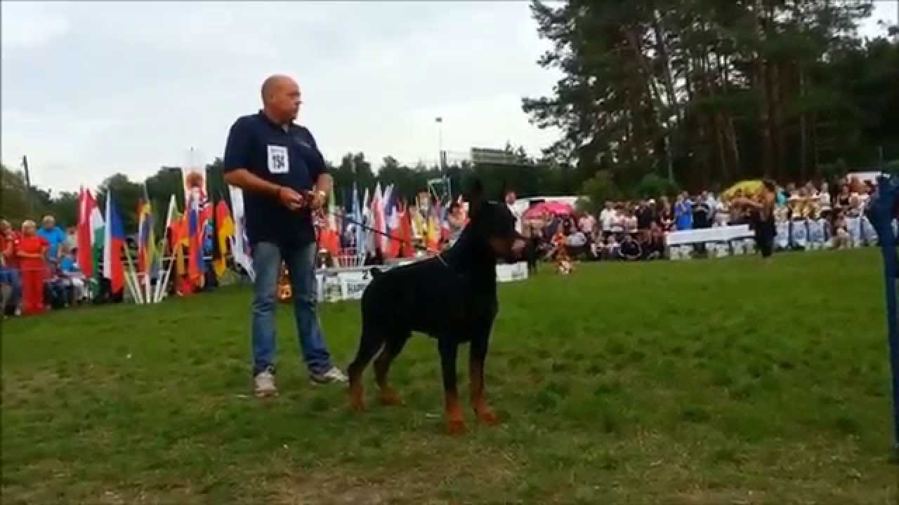 Pocho di Prisconte IDC 2014 Slovacchia Finale