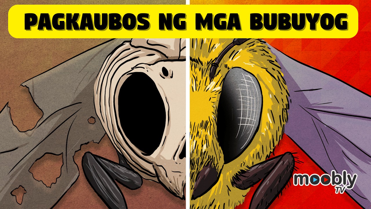 Bakit Nauubos Na Ang Mga Bubuyog Sa Mundo, At Anong Epekto Nito Sa Atin