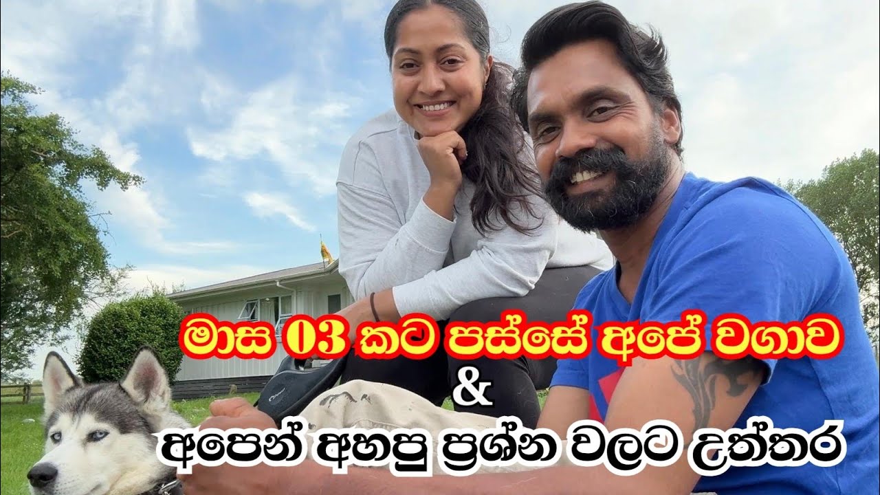 මාස 03කට පස්සේ අපේ වගාව | හැමෝම අහපු ප්‍රශ්නවලට උත්තර | මගේ ගොවි මහත්තයගේ වැඩ 