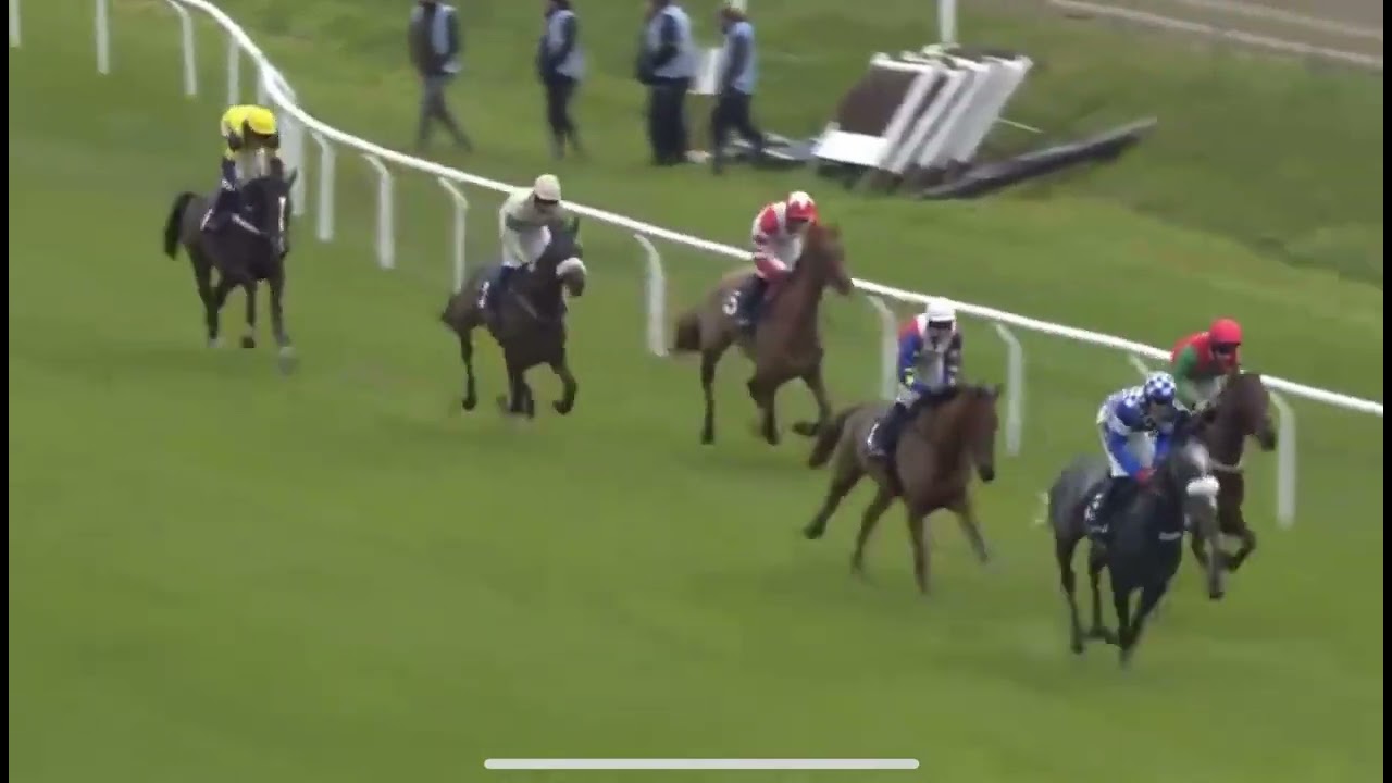 Giantgraves @ Lingfield 18/11/25