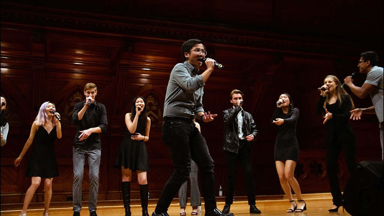 High Hopes (opb. Panic! At The Disco) | Veritones A Cappella Cover