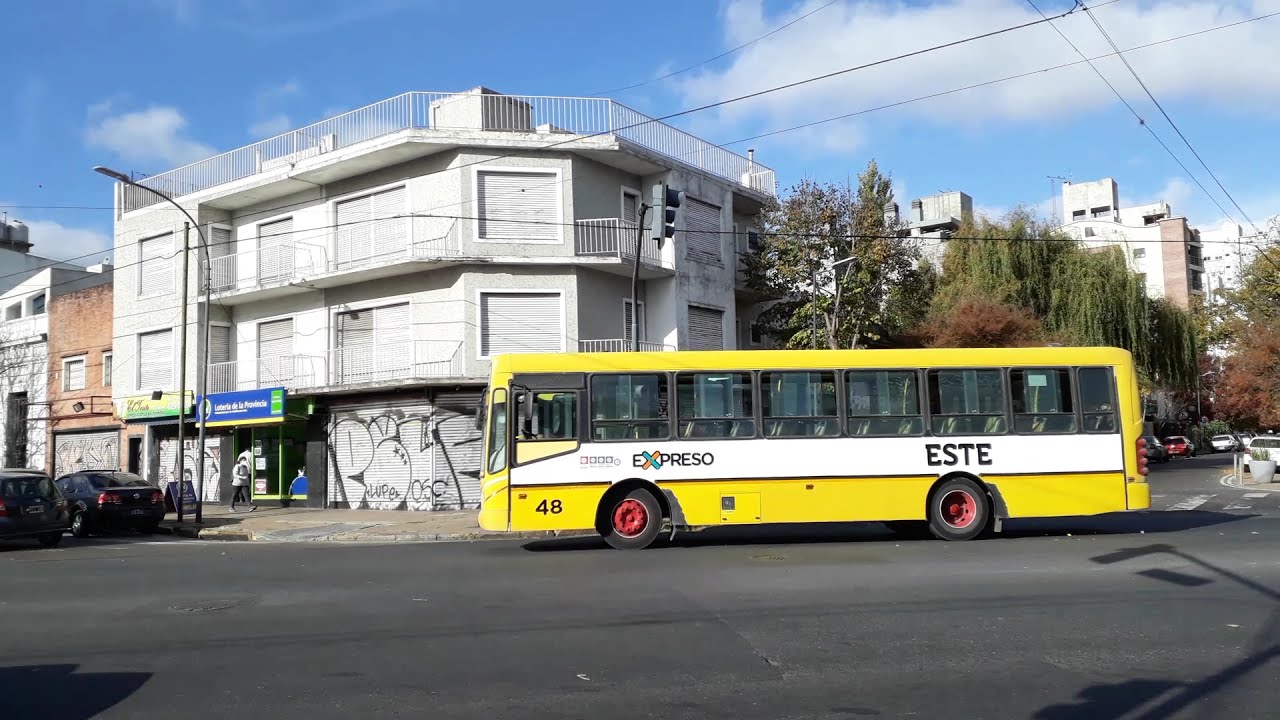 Micros de La Plata 4