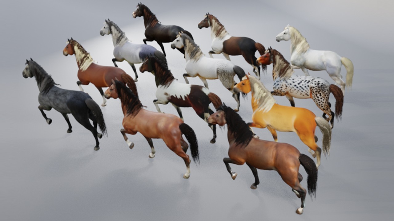 3D Horse Showcase | Skin, Hair & Tail Variations | 360° Rotation