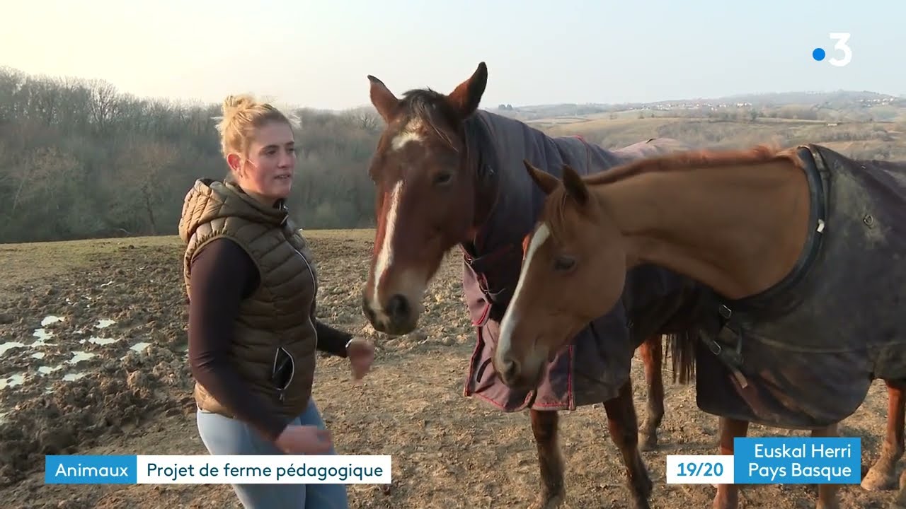 Une ferme pédagogique en projet à Halsou