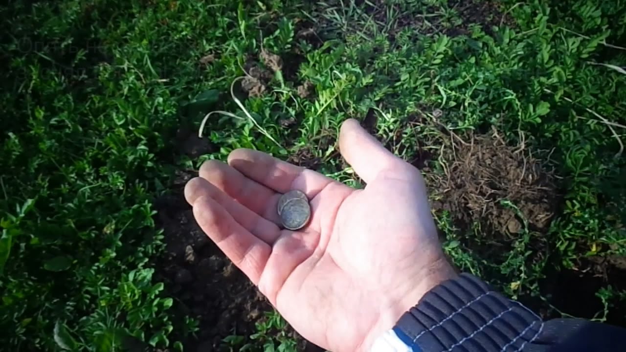 Поиск сокровищ с металлоискателем 