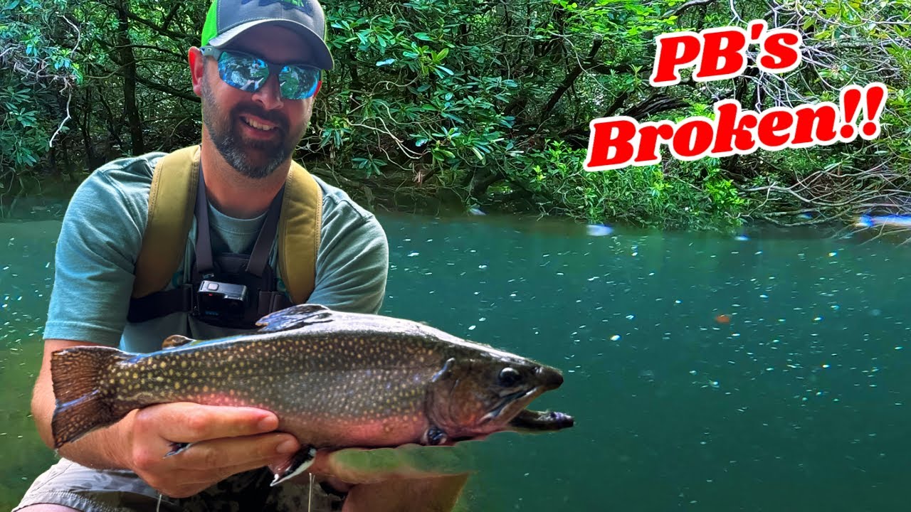 Inline Spinner Trout Fishing! CAMP and COOK!