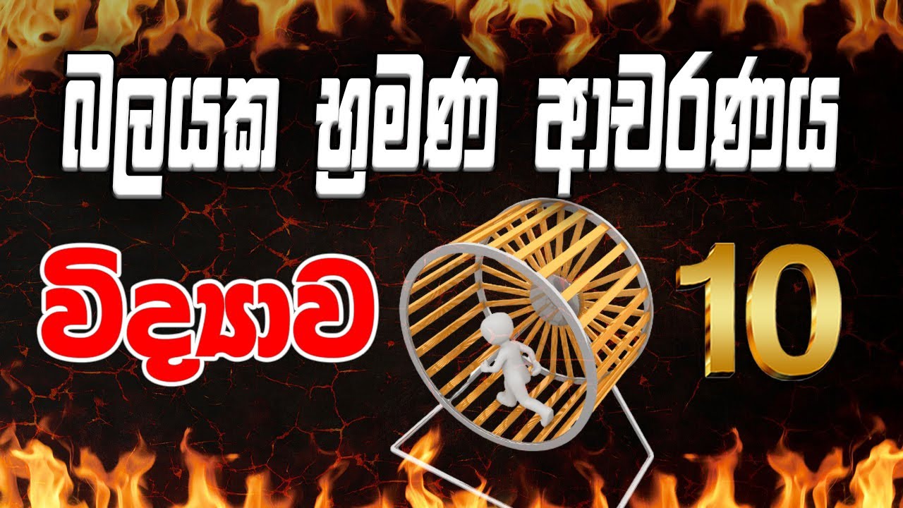 Grade 10 Science |  බලයක භ්‍රමණ ආචරණය |vidhyawa 10 | OL Science |10 ශ්‍රේණිය විද්‍යාව | Grade 11