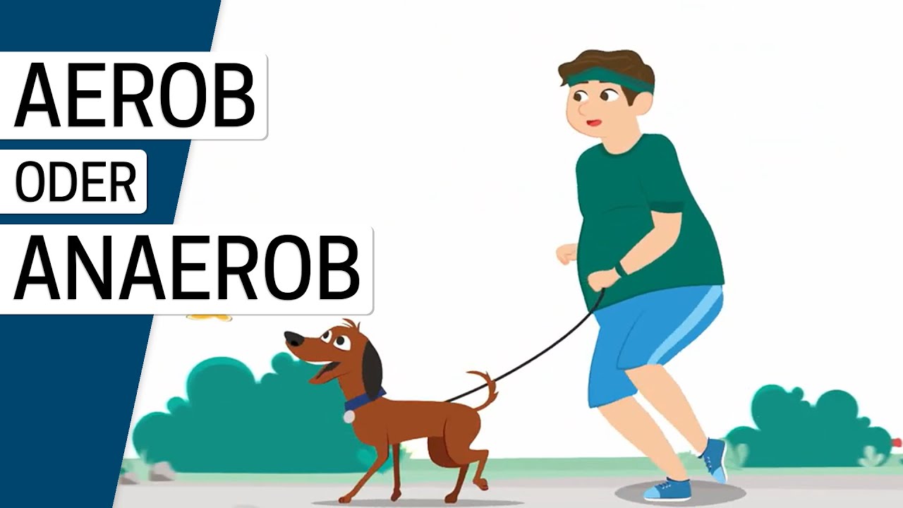 Aerobes und anaerobes Training: Was ist der Unterschied?