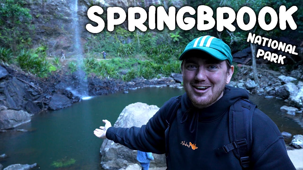 Exploring Queensland's Best National Park - Springbrook National Park (Twin Falls)