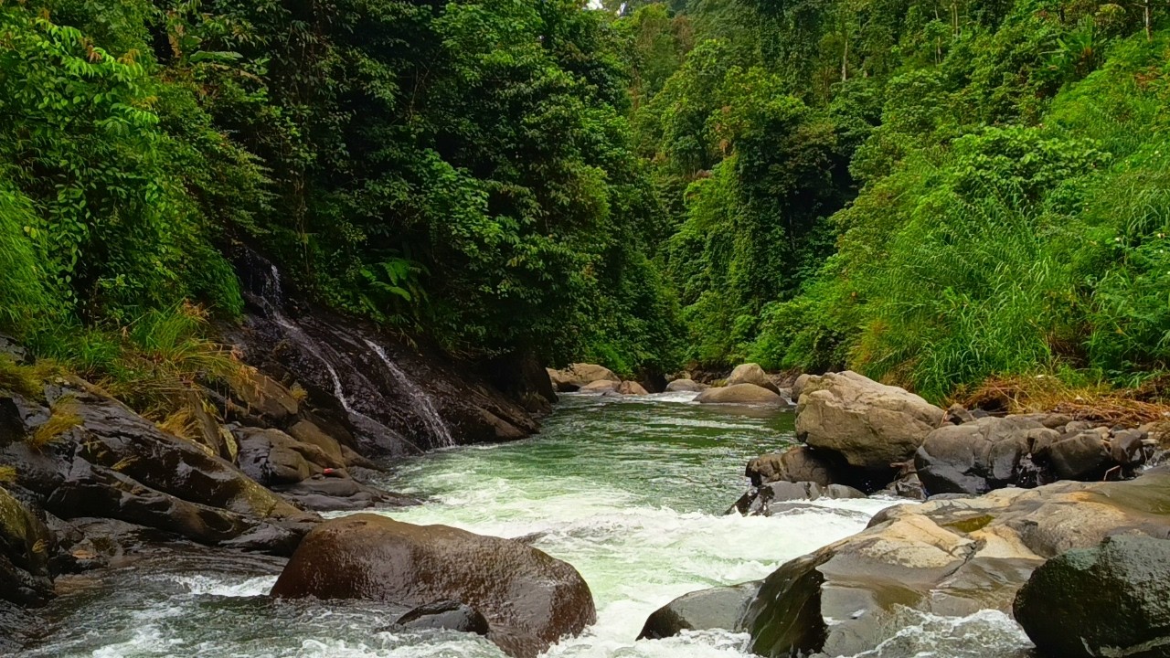 Flowing River Sounds in the Mountains – Relax, Unwind, Sleep