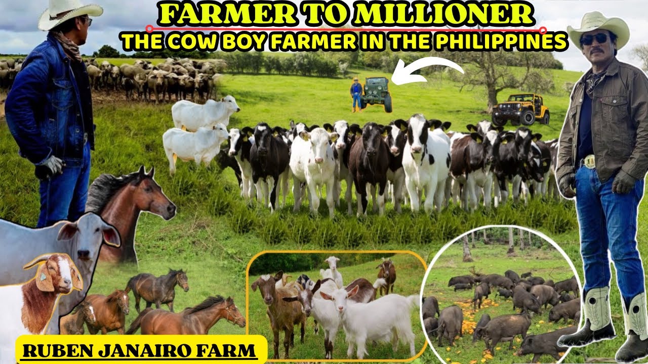 FARMER TO MILLIONER - RUBEN JANAIRO THE COWBOY FARMER IN THE PHILIPPINES ( SIBAY ISLAND )