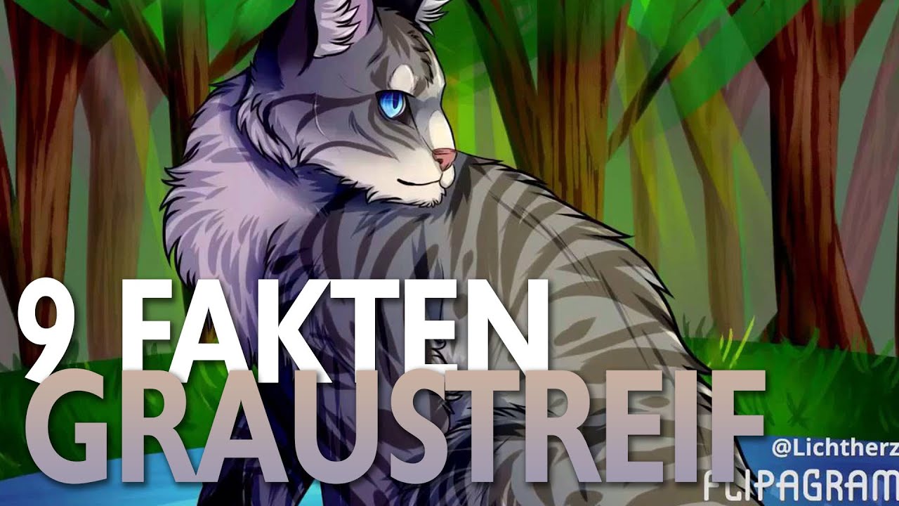 9 Fakten &uuml;ber Graustreif | Warrior Cats Fakten