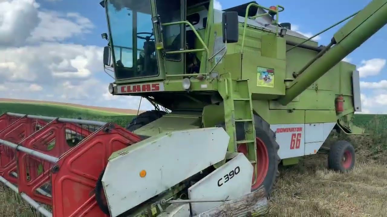 Озима пшениця Лазулі(KWS).Насіннєва ділянка Збирання врожаю #kws
