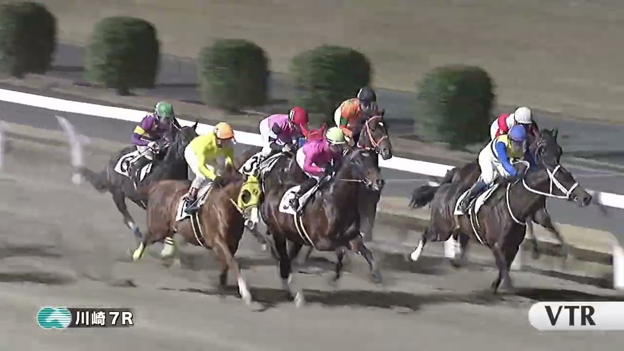 川崎競馬ダイジェスト（2025年12月18日）