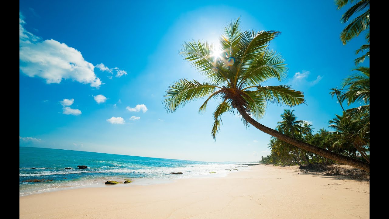 [Sunny Rhythms] - [Welcome!] Progressive Mix