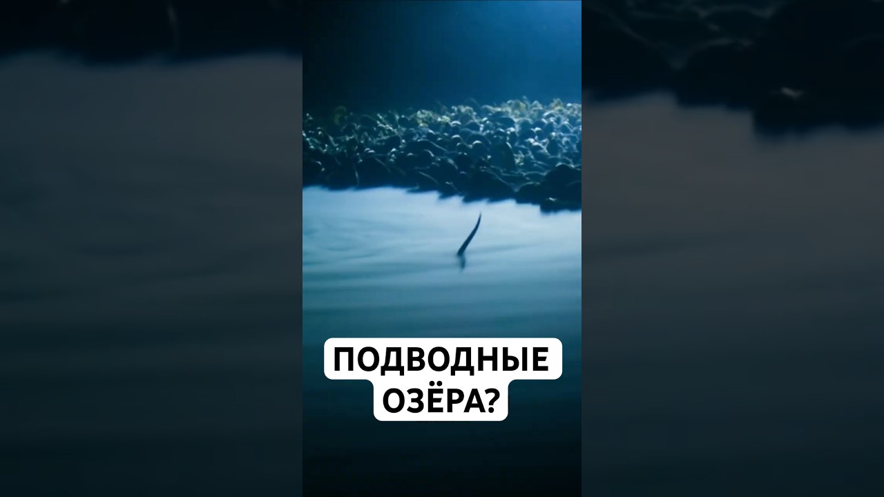 Вода Под Водой: Как Это Вообще Возможно?