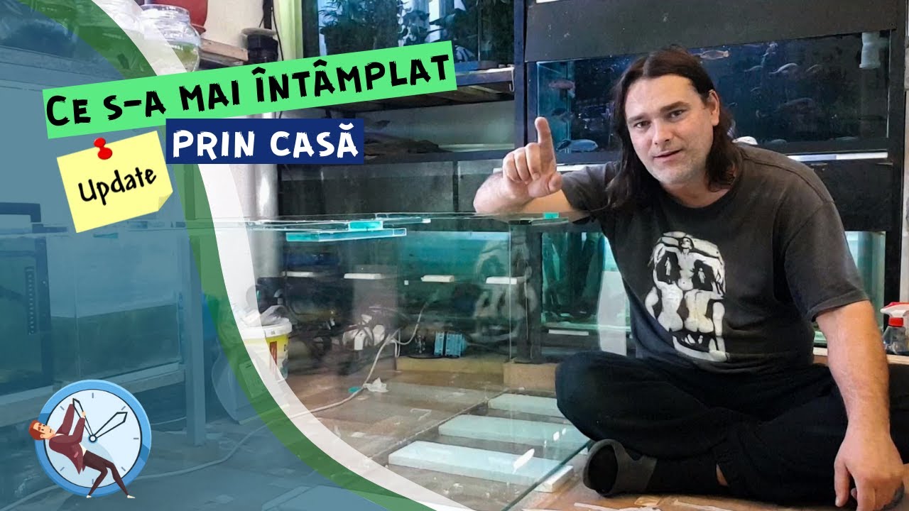 VLOG #7 | Update-uri si planuri