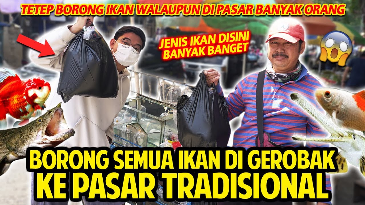 BORONG SEMUA JENIS IKAN PEDAGANG IKAN KELILING DI PASAR TRADISIONAL! JENIS IKAN DISINI BANYAK BANGET