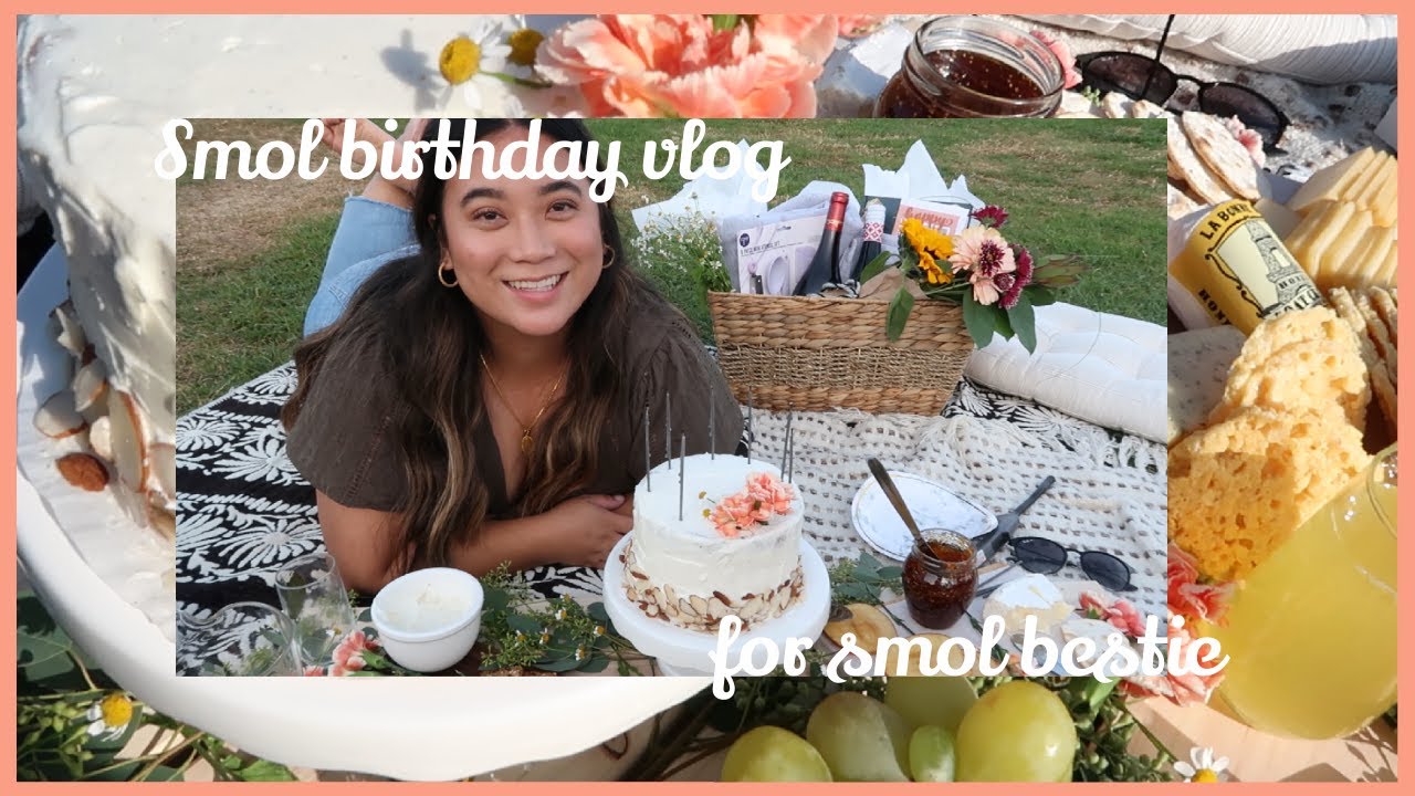 vlog | san diego birthday picnic for chris