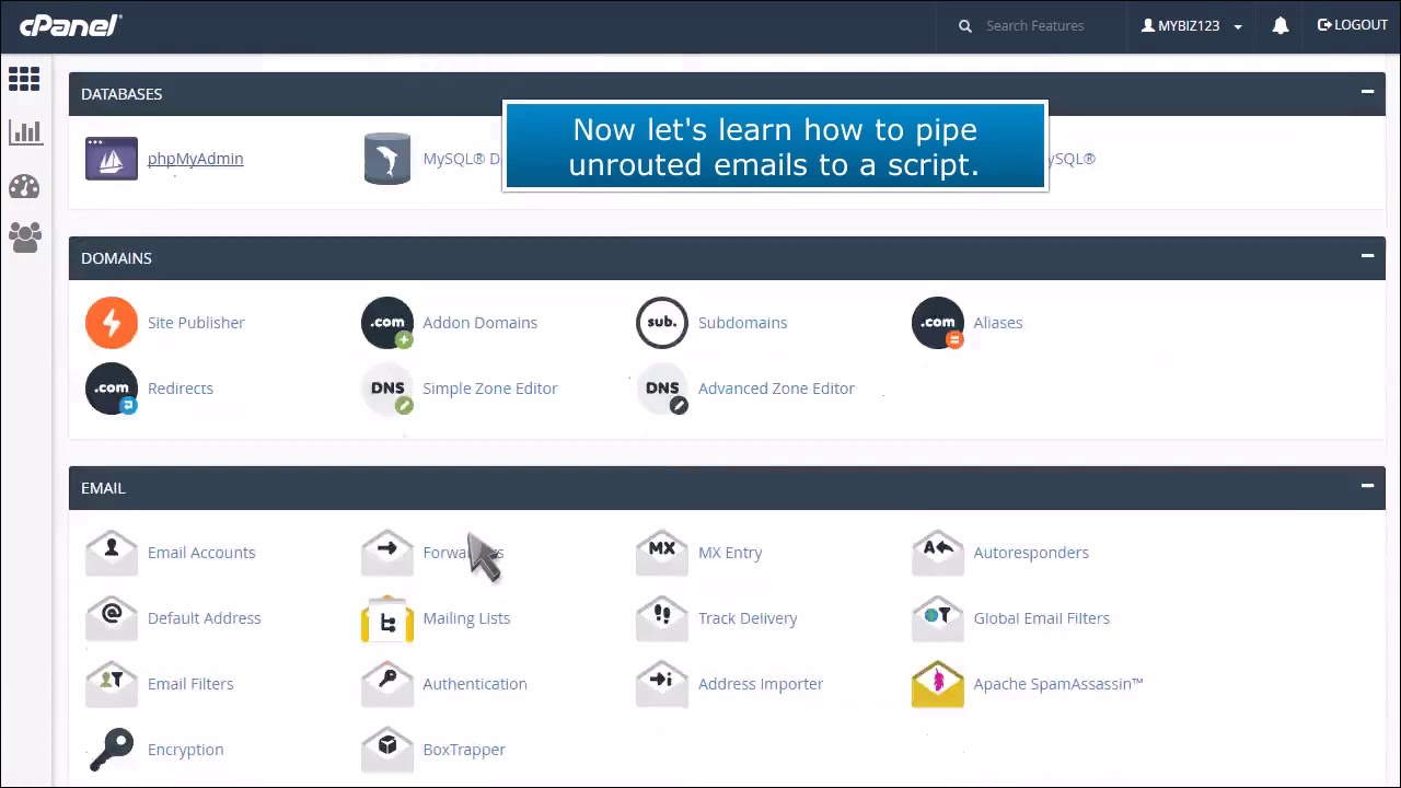 cPanel: How to Pipe Unrouted Emails to a Specific Script