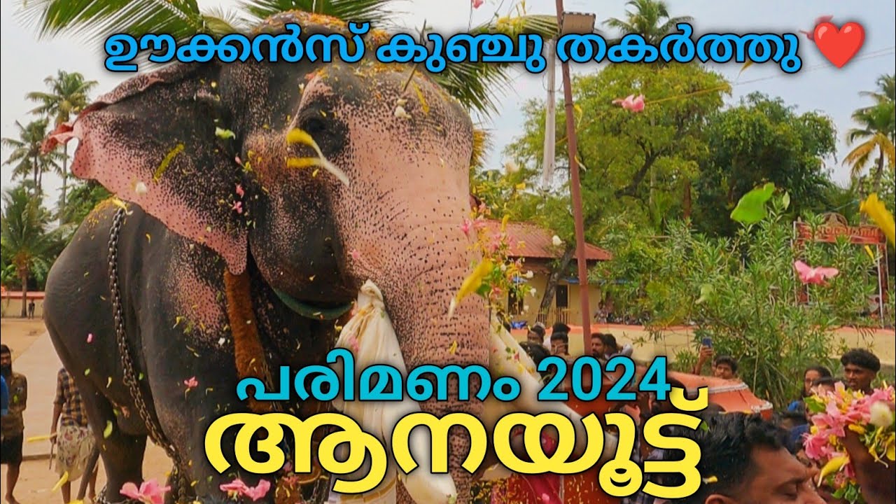 ഊക്കൻസ് കുഞ്ചുവും പരിമണം വിഷ്ണുവും ഒപ്പത്തിനൊപ്പം | Parimanam Aanayoottu 2024