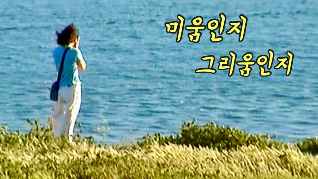 미움인지 그리움인지 - 나미 - 영상뮤직