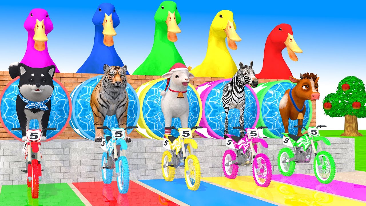 Long Slide Game With Cow Elephant Gorilla Hippopotamus Tiger 3d Animal Game Funny 3d Animals #2025