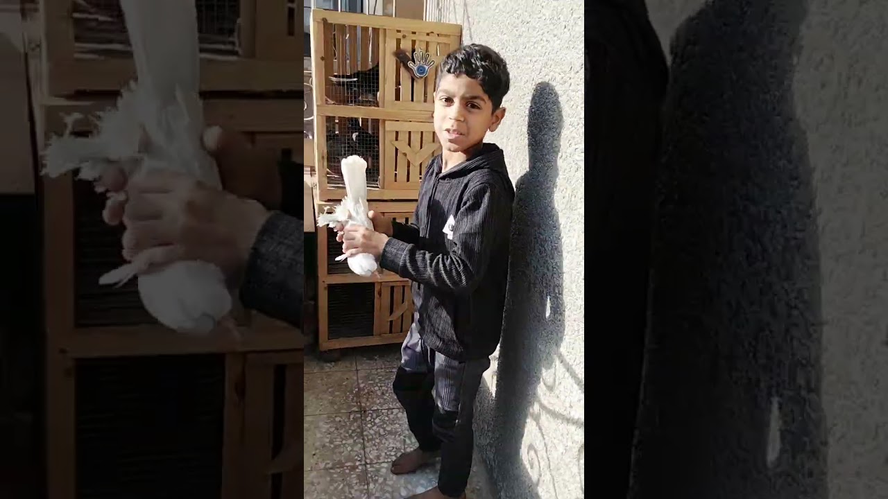 ٣١ ديسمبر ٢٠٢٥