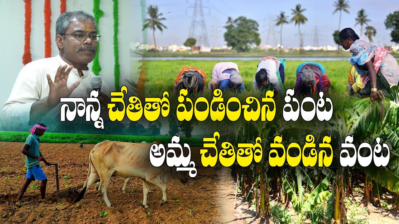 జుట్టు రాలిపోవడానికి - వ్యవసాయ విధానాలకు సంబంధం ఉందా ? Dr.Shyam sundar Reddy