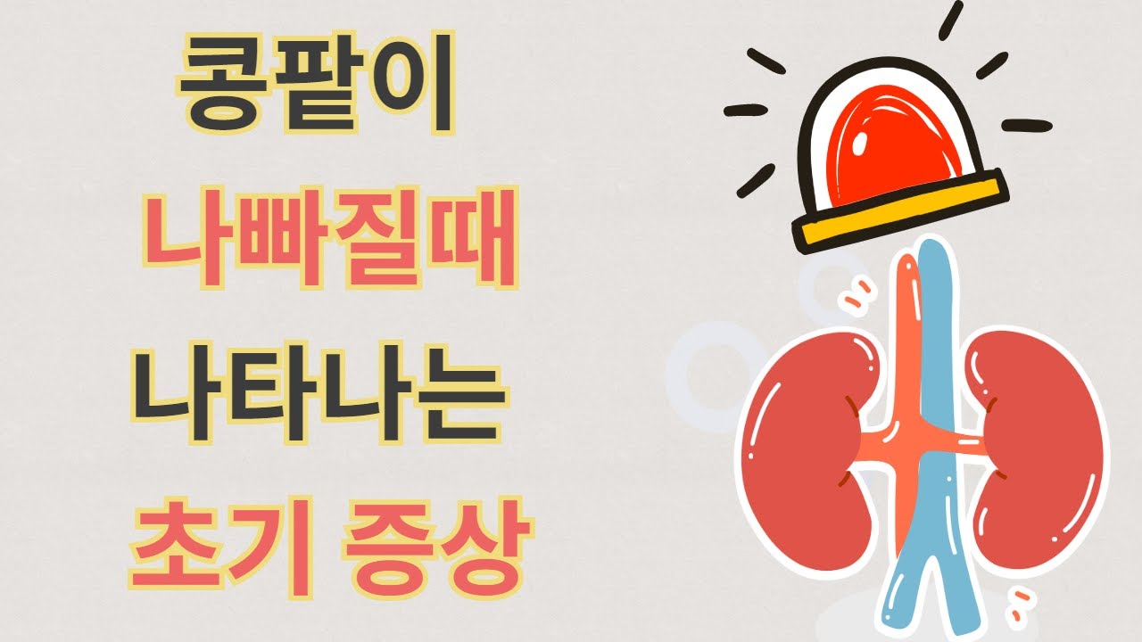 해독의 장기 콩팥이 나빠지는 초기에 나타나는 증상들