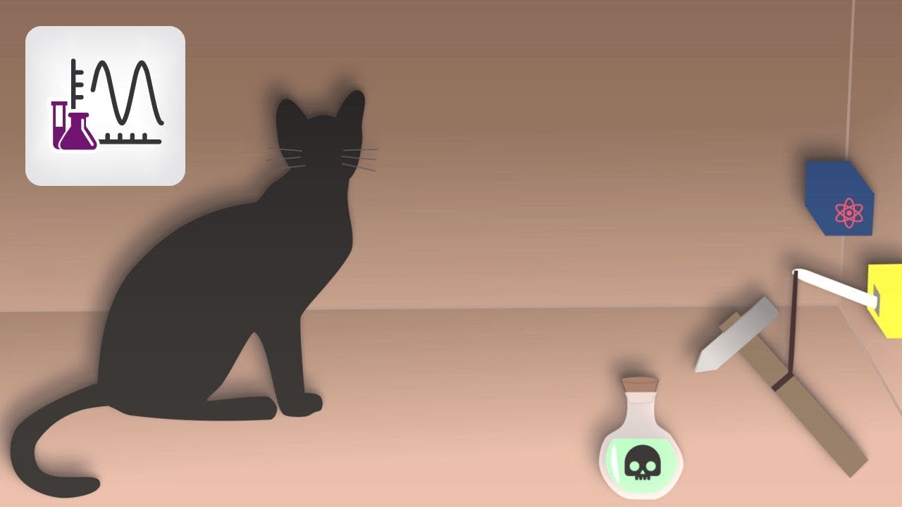 [Comment &ccedil;a marche?] Le chat de Schr&ouml;dinger