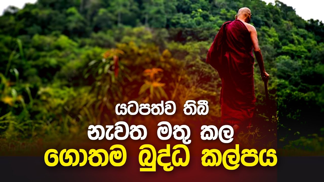 🔴 යටපත්ව තිබී නැවත මතු වූ ගොතම බුද්ධ කල්පය | මහාප්‍රාඥ්‍ය මීවනපලානේ සිරිධම්මාලංකාර මහඅරහතුන් වහන්සේ