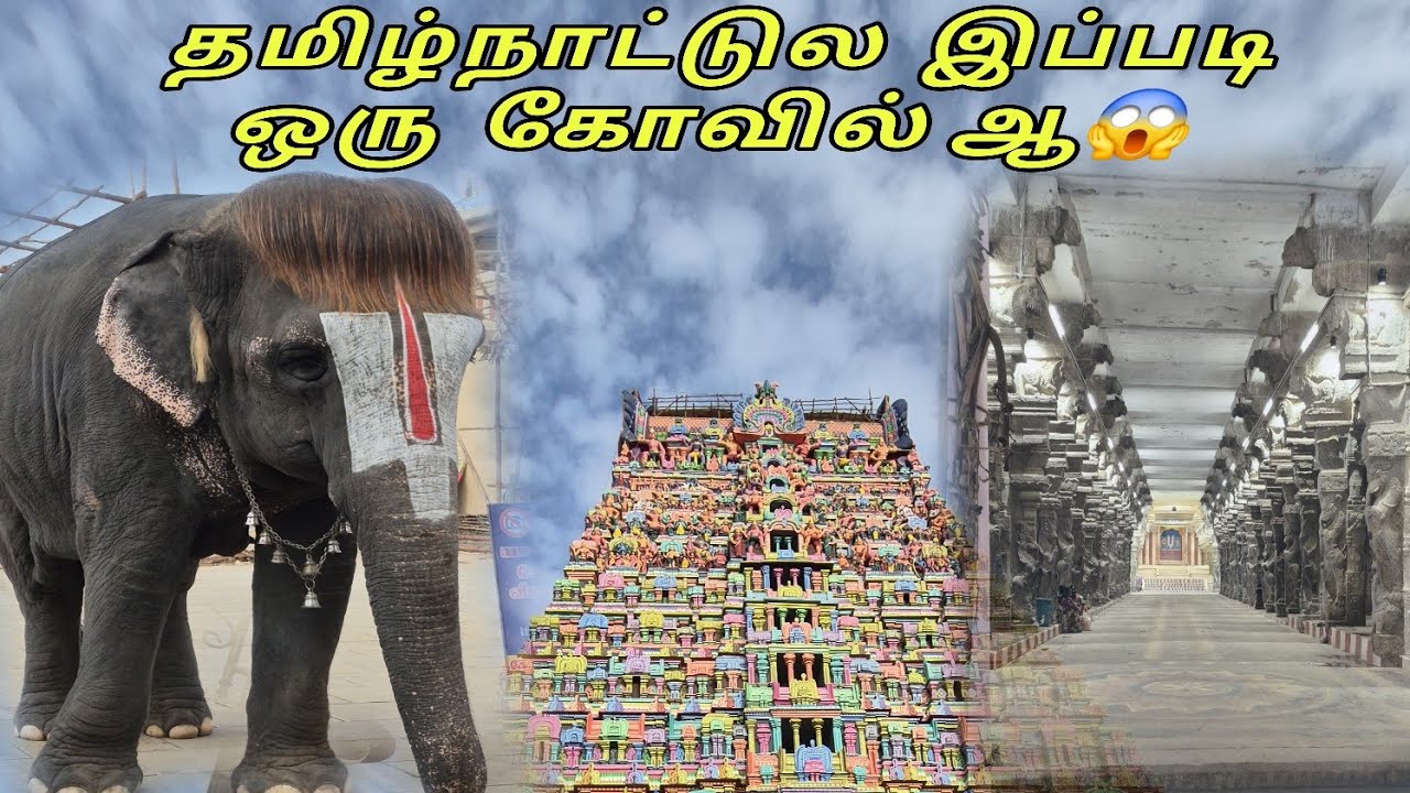 Sri Rajagopalaswamy Temple Vlog Mannargudi #temple   #mannargudi #tanjavur 